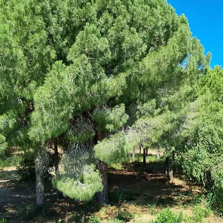 Appartamento Spacious With Beautiful Loggia
